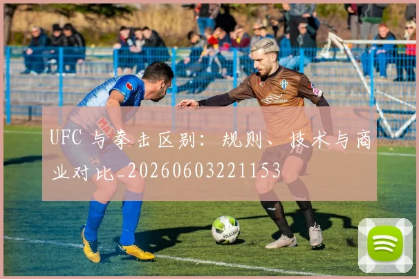 UFC 与拳击区别：规则、技术与商业对比_20260603221153