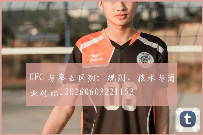UFC 与拳击区别:规则、技术与商业对比_20260603221153